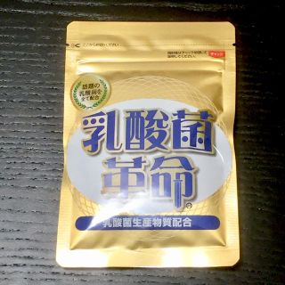 乳酸菌革命(その他)