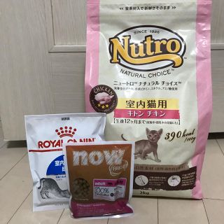 マース(MARS)のニュートロ ナチュラルチョイス キトン チキン サンプル付き(ペットフード)