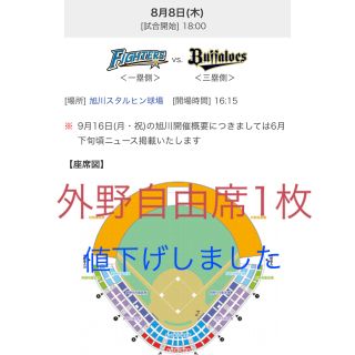 ホッカイドウニホンハムファイターズ(北海道日本ハムファイターズ)の8/8 旭川スタルヒン球場 日ハムvs オリックス(野球)