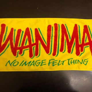 ワニマ(WANIMA)のエビバディツアー wanima タオル(ミュージシャン)