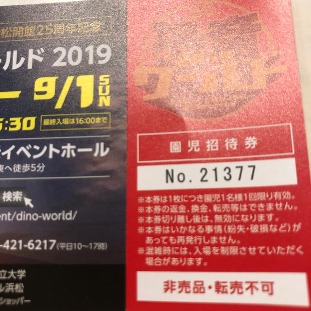 同梱無料 園児招待券 浜松恐竜ワールド2019 アクトシティ浜松 夏休み  チケットの施設利用券(美術館/博物館)の商品写真