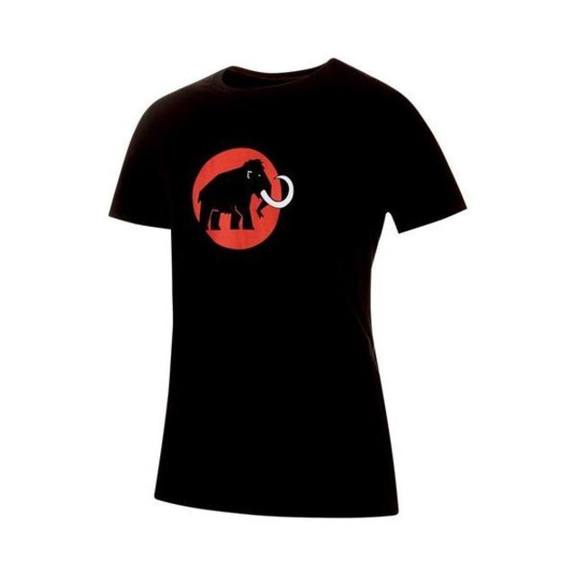 マムート　メンズ　Tシャツ　Sサイズ　（Mammut　Logo TShirts
