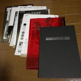 椿屋四重奏　BRIGHTEST DARKNESS　ライブ　冊子(ミュージシャン)