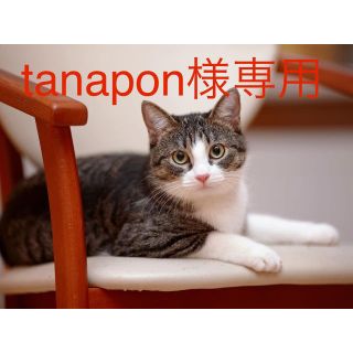 tanapon様専用ページ(美容液)