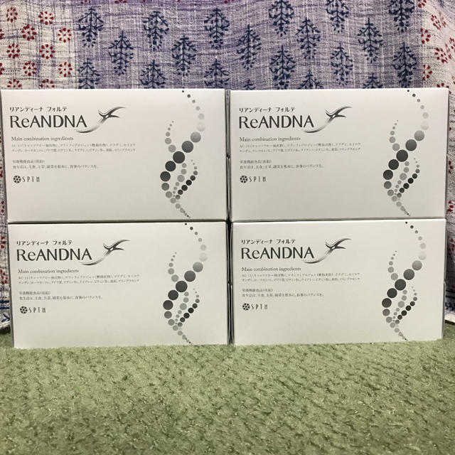 セプテム リアンディーナ フォルテ | littleitalypizzamemphis.com