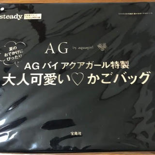 エージーバイアクアガール(AG by aquagirl)のsteady6月号付録(かごバッグ/ストローバッグ)