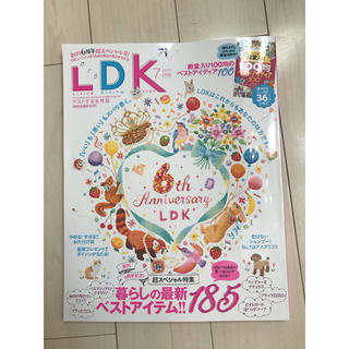 LDK 2019年7月号 暮らしの最新ベストアイテム！！185(その他)