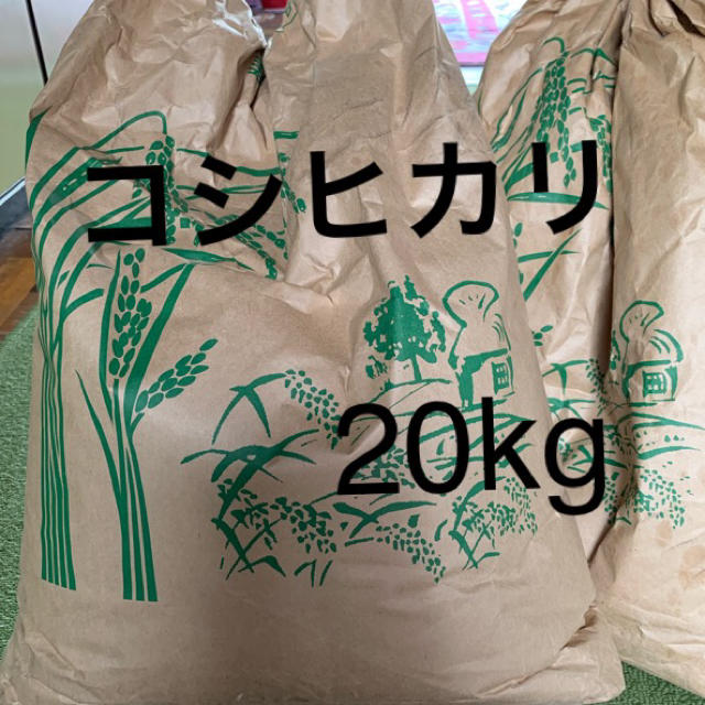 伊勢の米 ２袋 令和4年収穫 三重県産コシヒカリ 玄米30キロ-