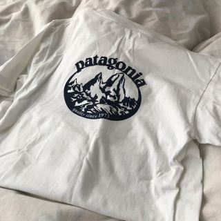 パタゴニア(patagonia)のpatagonia Tシャツ(Tシャツ(半袖/袖なし))