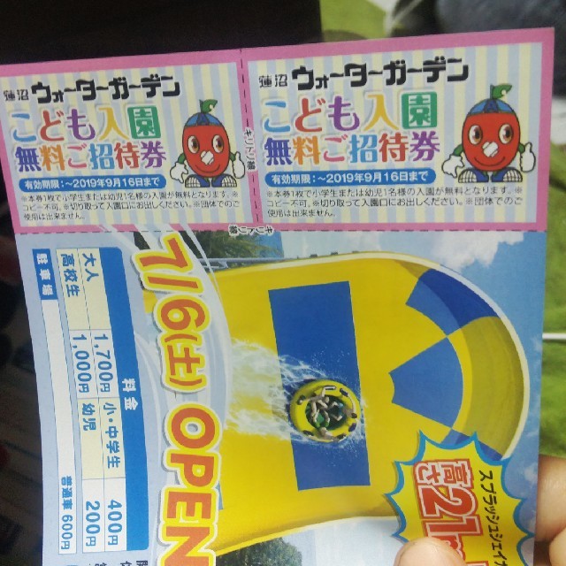 蓮沼ウォーターガーデン・千葉こどもの国 チケットの施設利用券(遊園地/テーマパーク)の商品写真