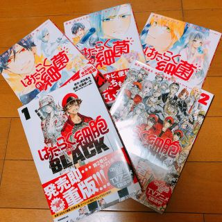 コウダンシャ(講談社)のはたらく細菌１〜３巻、はたらく細胞BLACK１〜２巻(少年漫画)