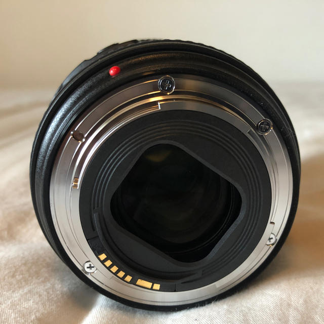 Canon Canon EF 24 105mm f/4 L IS Ⅱの通販 by makun1122's shop｜キヤノンならラクマ - Shouhei様専用 新作限定品
