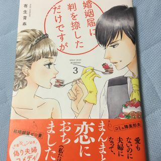 婚姻届に判を捺しただけですが  3(女性漫画)