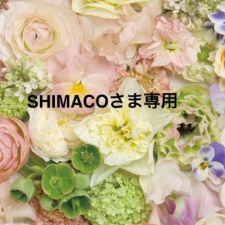 SHIMACOさま専用ページ♡(つけ爪/ネイルチップ)