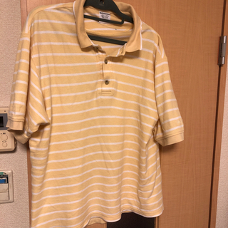 コロンビア(Columbia)のコロンビア　ポロシャツ  APE applebum NIKE GSHOCK(Tシャツ/カットソー(半袖/袖なし))