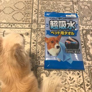 アイリスオーヤマ(アイリスオーヤマ)のペット用身体拭きタオル(犬)