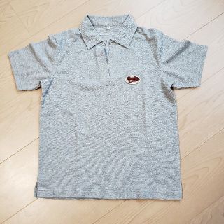 パプ(papp)の未使用品！Papp kids 半袖ポロシャツ　グレー  Mサイズ(Tシャツ/カットソー)