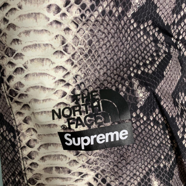 Supreme(シュプリーム)のsupreme the northface snake skin pants  メンズのパンツ(ワークパンツ/カーゴパンツ)の商品写真