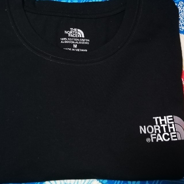 THE NORTH FACE(ザノースフェイス)のNorth Face ロングtシャツ メンズのトップス(Tシャツ/カットソー(七分/長袖))の商品写真