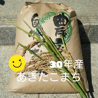 Rie様専用です😊あきたこまち玄米5kg(米/穀物)