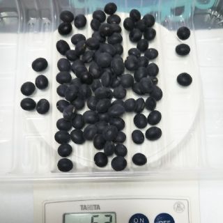 ご専用　平成30年産　丹波黒大豆　120g　ぶどう豆　丹波の黒豆(米/穀物)