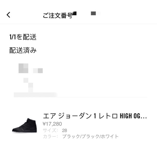 NIKE(ナイキ)の【とんとろ専用】NIKE AIR JORDAN 1 & LEGACY 312 メンズの靴/シューズ(スニーカー)の商品写真