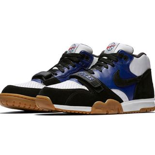 ナイキ(NIKE)のpolar nike sb air trainer 1 qs 27.0(スニーカー)