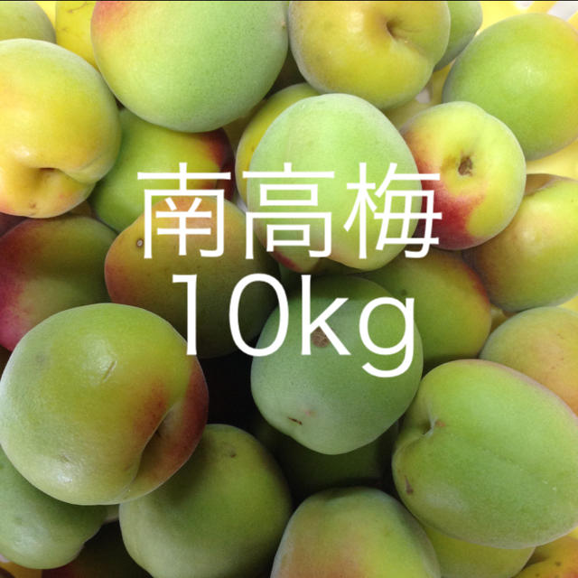 南高梅 10kg