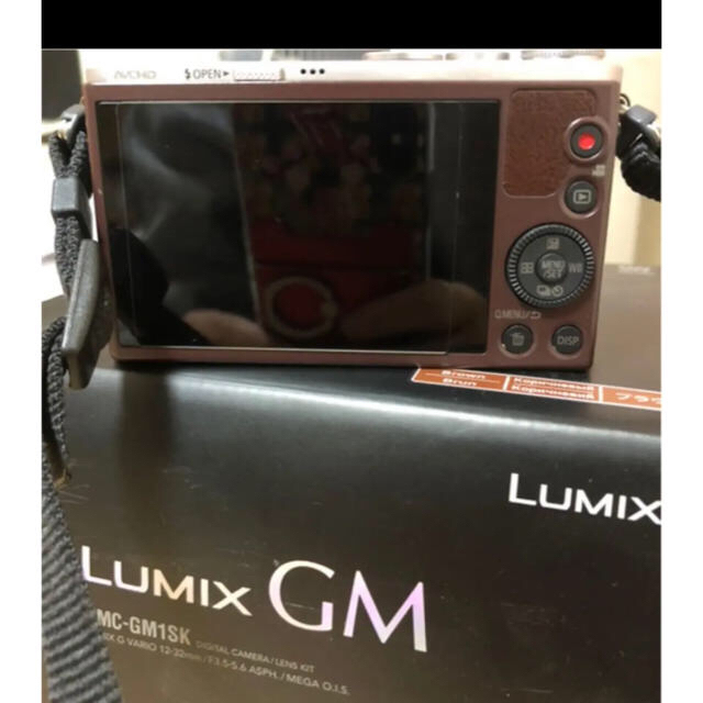 LUMIX GM