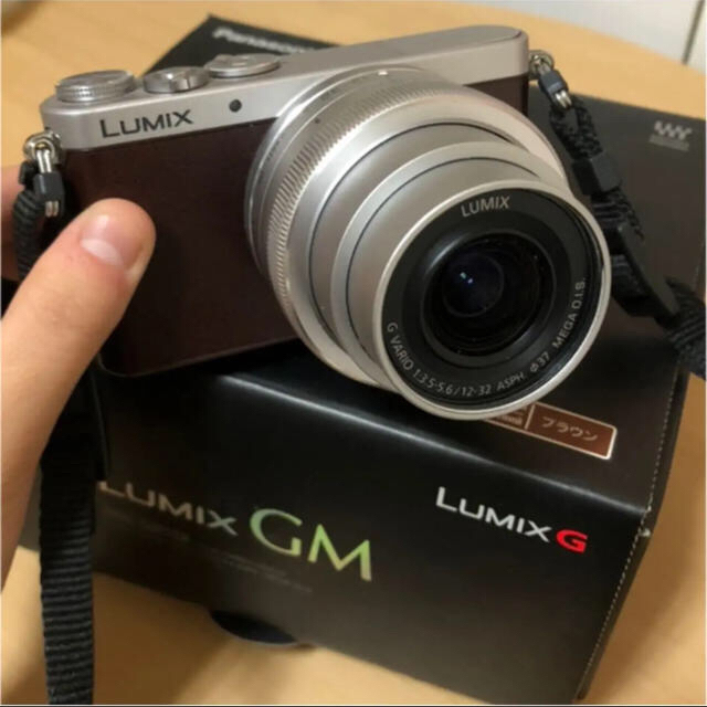 LUMIX GM