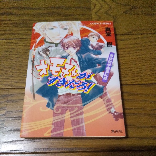 オモチャがすきだろ！青桃院学園風紀録 エンタメ/ホビーの本(文学/小説)の商品写真