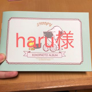 スヌーピー(SNOOPY)のharu 様専用  エコー写真アルバム スヌーピー(アルバム)