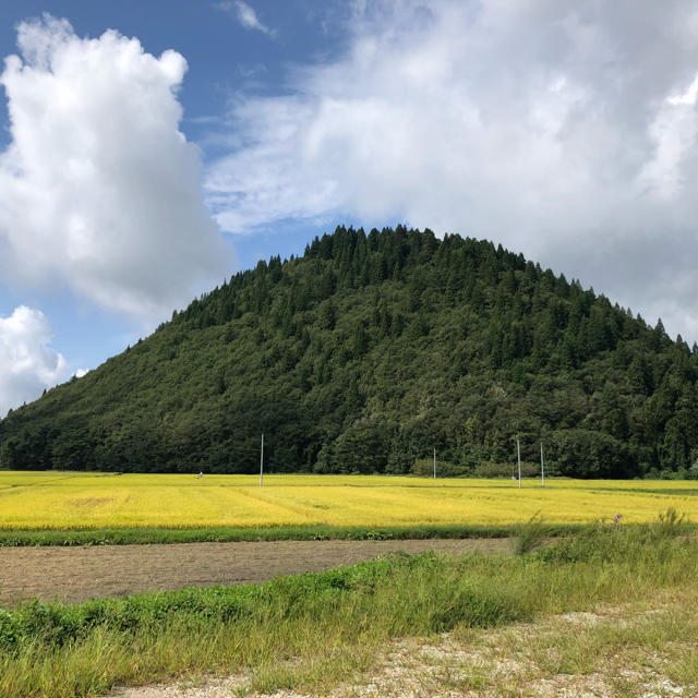 ［さやんさん専用］平成30年 秋田県産 あきたこまち  玄米 30kg 送料込み 食品/飲料/酒の食品(米/穀物)の商品写真