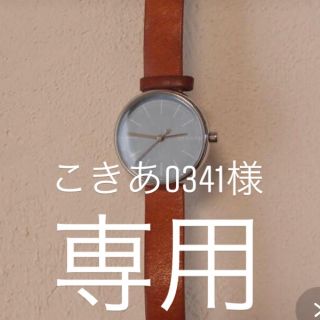 スカーゲン(SKAGEN)のSKAGEN SKW2620(腕時計)