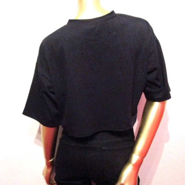 Karl Kani(カールカナイ)のPLT×KARL KANI★EMBROIDERED CROP T SHIRT レディースのトップス(Tシャツ(半袖/袖なし))の商品写真