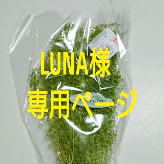 LUNA様専用ページ(プリザーブドフラワー)