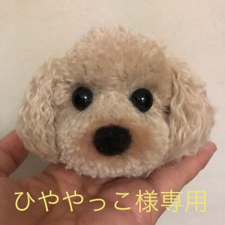 ひややっこ様 専用ページ  動物ぽんぽん トイプードル ベージュ(その他)