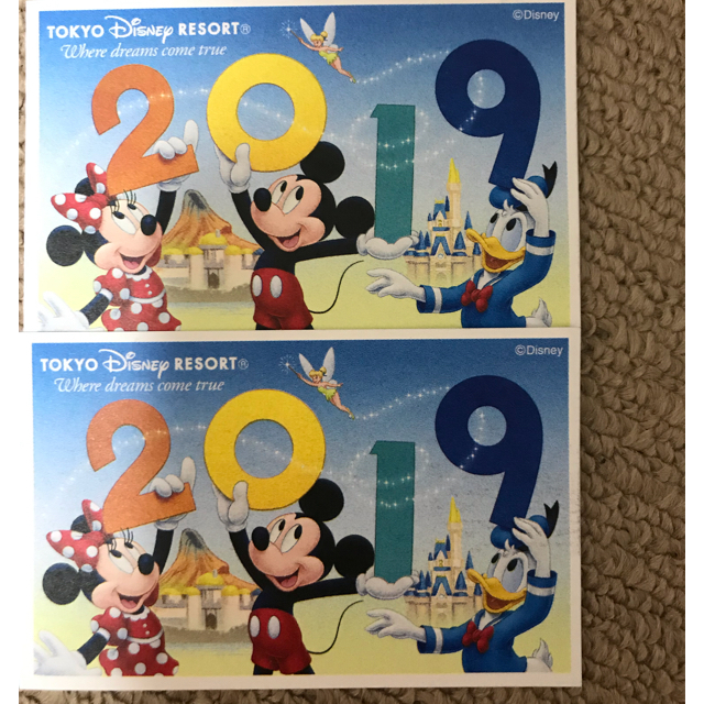 ディズニー チケット 大人 未使用 オープン券 2019