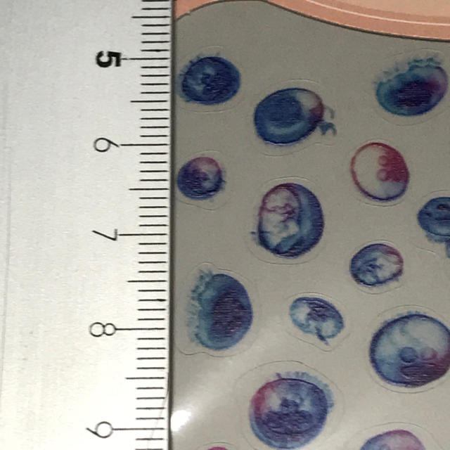 レジン用シール（ハーバリウム使用可能）青い海月 ＋ 透明シートセット ハンドメイドの素材/材料(各種パーツ)の商品写真