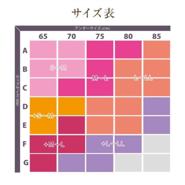 ふんわりルームブラ レディースの下着/アンダーウェア(ブラ)の商品写真