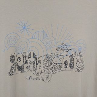 パタゴニア(patagonia)のpatagonia Tシャツ Lサイズ(Tシャツ/カットソー(半袖/袖なし))