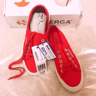 スペルガ(SUPERGA)のSUPERGA ＊ レースアップスニーカー 赤 EU 35(スニーカー)