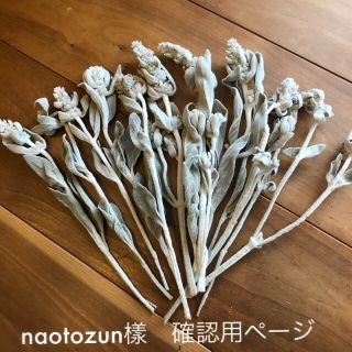 naotozun樣　確認用専用ページ　こちらからご確認下さい。(ドライフラワー)