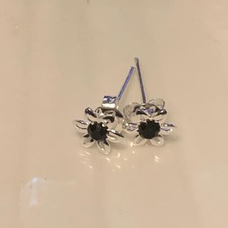 ピアス(ピアス)