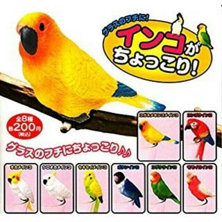 おもちゃ の オカメインコの通販 300点以上 フリマアプリ ラクマ