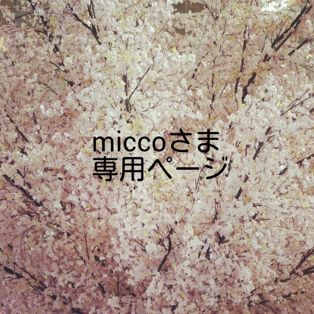 miccoさま専用ページ レディースの靴/シューズ(サンダル)の商品写真