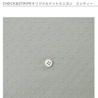 CHECK&STRIPE ドットミニヨン ミンティー(生地/糸)