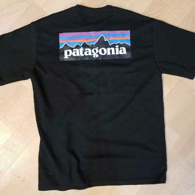 patagonia(パタゴニア)のパタゴニアp6 シャツ レディースのトップス(Tシャツ(半袖/袖なし))の商品写真