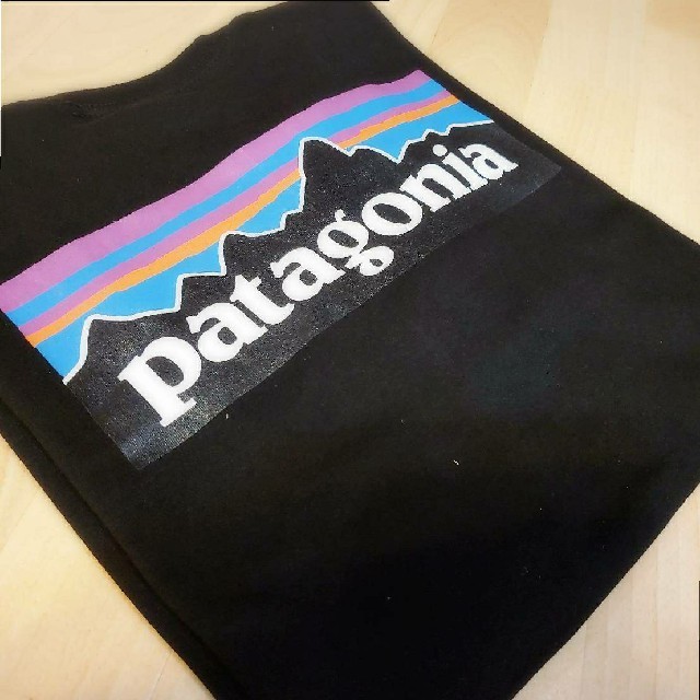 patagonia(パタゴニア)のパタゴニアp6 シャツ レディースのトップス(Tシャツ(半袖/袖なし))の商品写真