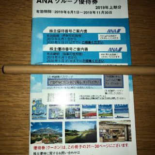 エーエヌエー(ゼンニッポンクウユ)(ANA(全日本空輸))のANA 株主優待券 2枚(その他)